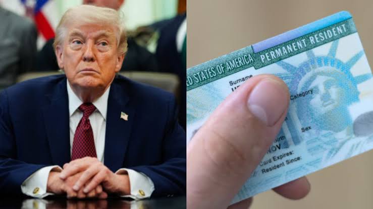 Трамп призупинив дію програми Green Card — мільйони під питанням 153