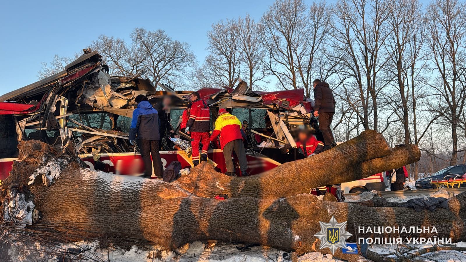 9 постраждалих у страшній ДТП: автобус Відень-Київ врізався в дерево на Львівщині (фото) 103