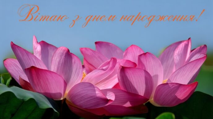 картинки з днем народженням жінці2