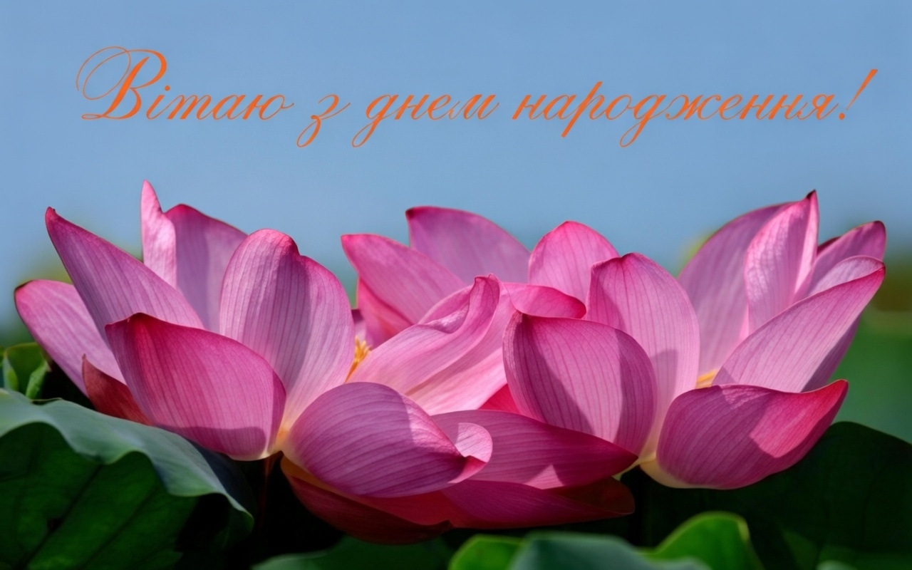 картинки з днем народженням жінці2