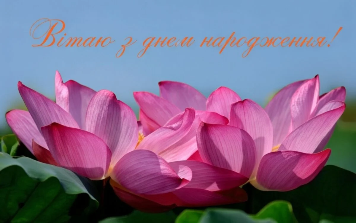 картинки з днем народженням жінці2
