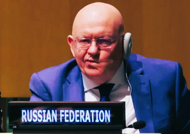 Небензя біографія