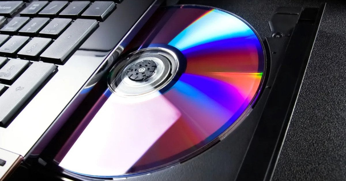 Старі CD-диски врятують ваш сад від птахів: 5 ефективних способів 2026 1