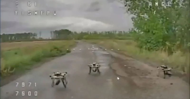 Досвід "Французького Легіону" на службі України: історія комбата підрозділу «Скеля» з позивним «Алдо Апач» 6 Досвід "Французького Легіону" на службі України: історія комбата підрозділу «Скеля» з позивним «Алдо Апач» 5