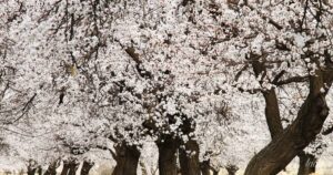 Гороскоп на 28 квітня 2026 р.: емоційна чутливість і поради для всіх знаків зодіаку 45