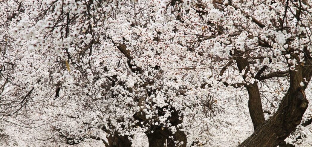 Гороскоп на 28 квітня 2026 р.: емоційна чутливість і поради для всіх знаків зодіаку 3