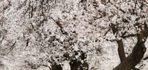 Гороскоп на 28 квітня 2026 р.: емоційна чутливість і поради для всіх знаків зодіаку 47