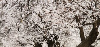 Гороскоп на 28 квітня 2026 р.: емоційна чутливість і поради для всіх знаків зодіаку 1