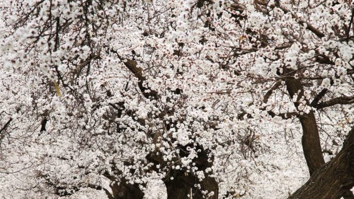 Гороскоп на 28 квітня 2026 р.: емоційна чутливість і поради для всіх знаків зодіаку 7