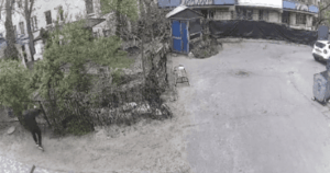 Інцидент у ТЦК: військовозобов’язаний впав у котлован після втечі з ВЛК у Києві 47