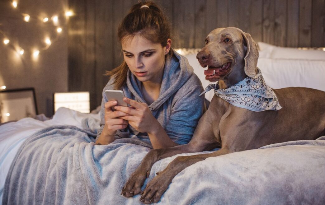 Pet‑friendly оренда в Україні 2026: де знайти квартиру з котами та собаками і скільки це коштує 3