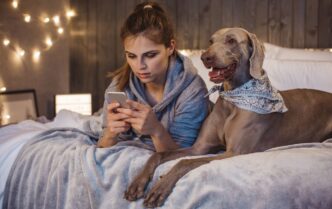 Pet‑friendly оренда в Україні 2026: де знайти квартиру з котами та собаками і скільки це коштує 5