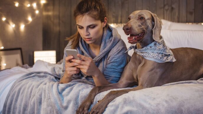 Pet‑friendly оренда в Україні 2026: де знайти квартиру з котами та собаками і скільки це коштує 7