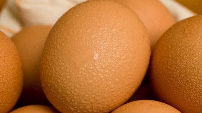 Яєчна шкаралупа в догляді за кімнатними рослинами: користь та обмеження 7