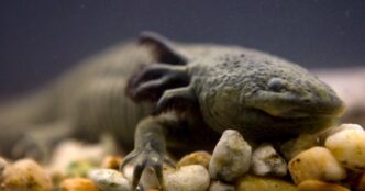 Астрологічний прогноз, поради та символи на 24 квітня 2026 17