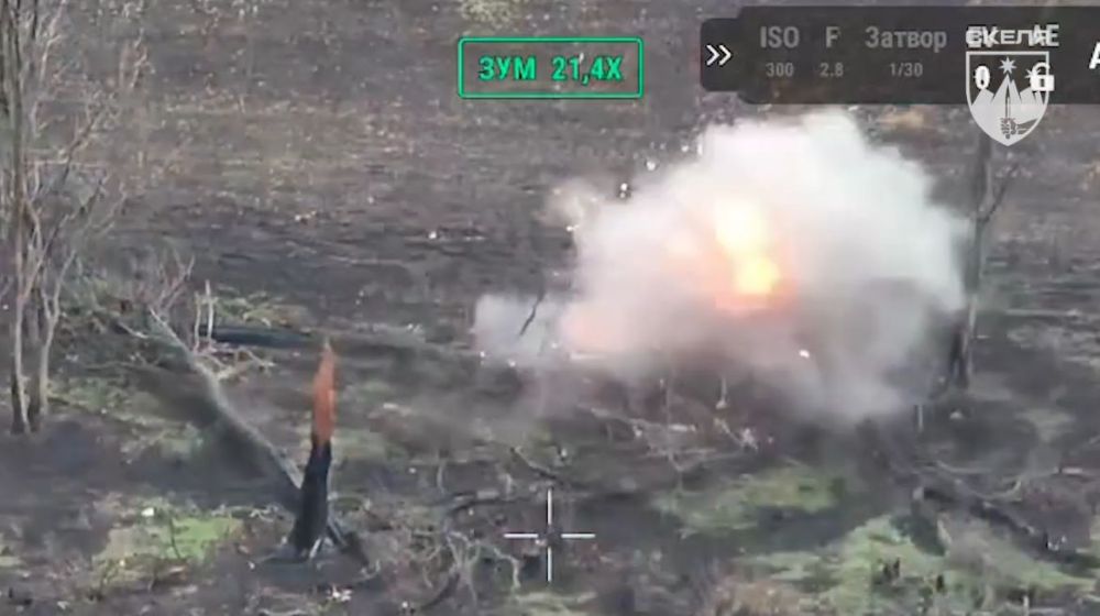 Без шансів на порятунок: FPV-дрони полку «Скеля» нищать загарбників на фронті 7