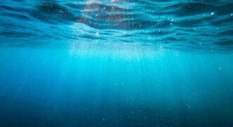 Підводний вулкан віком 3 млн років, виявлений японськими вченими на дні Тихого океану 15