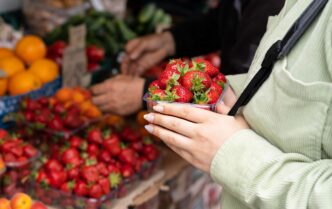 Імпорт першої полуниці в Україну: джерела поставок і прогноз зниження цін 1