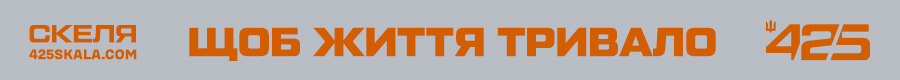 Homepage 311