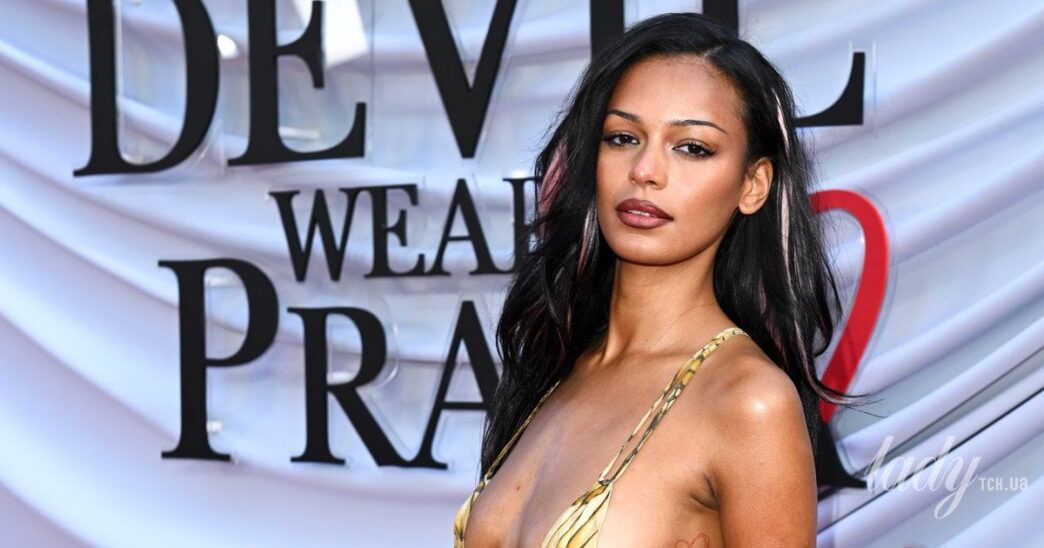 Пем Г’юз у вінтажній сукні Roberto Cavalli на прем’єрі «Диявол носить Прада 2» 3