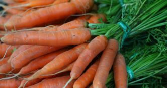 Зростання цін на моркву в Україні: причини та перспективи 5