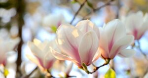 День ангела 12 квітня 2026 – іменини, значення імен та привітання 31