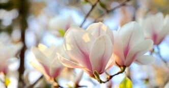 День ангела 12 квітня 2026 – іменини, значення імен та привітання 1