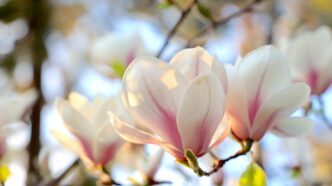 День ангела 12 квітня 2026 – іменини, значення імен та привітання 209