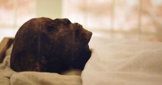 Комп’ютерна томографія мумій: нові дані про здоров’я стародавніх єгиптян 17