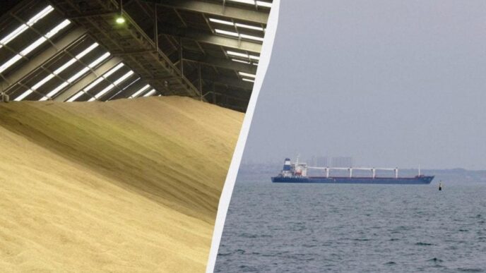 Ізраїльський імпортер відмовився розвантажувати українське зерно через ризик санкцій 7
