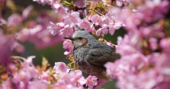 День ангела 28 квітня 2026 р: імена, значення та привітання 9