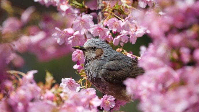 День ангела 28 квітня 2026 р: імена, значення та привітання 11