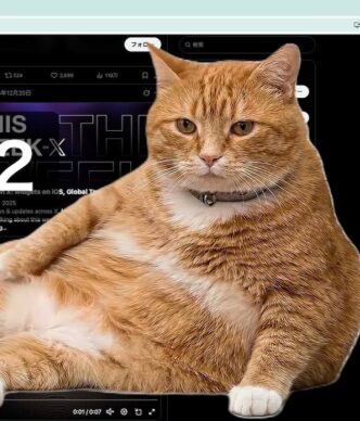 Рудий кіт блокує екран: нове Chrome-розширення змушує відпочивати від соцмереж за 5 хвилин 5