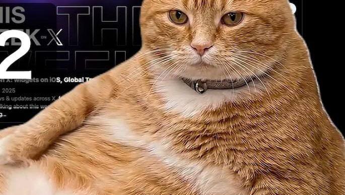 Рудий кіт блокує екран: нове Chrome-розширення змушує відпочивати від соцмереж за 5 хвилин 7