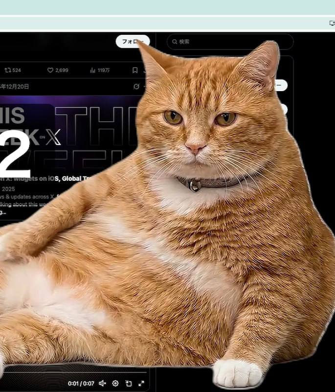 Рудий кіт блокує екран: нове Chrome-розширення змушує відпочивати від соцмереж за 5 хвилин 3