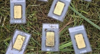 У Німеччині під час косіння газону виявили десять золотих злитків вартістю 40 000 євро 11
