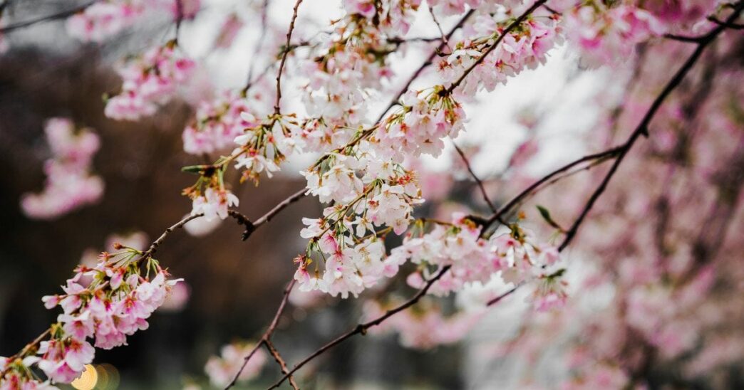 День ангела 30 квітня 2026 р.: імена, значення та привітання 3