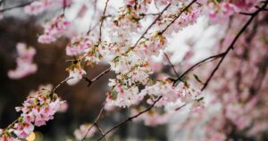 День ангела 30 квітня 2026 р.: імена, значення та привітання 47