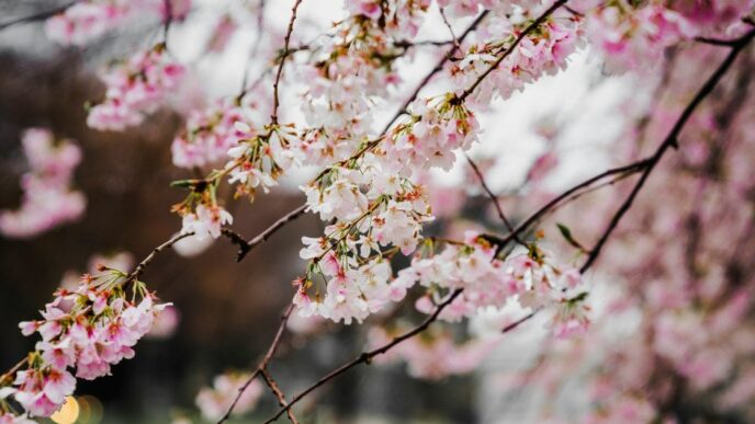 День ангела 30 квітня 2026 р.: імена, значення та привітання 11