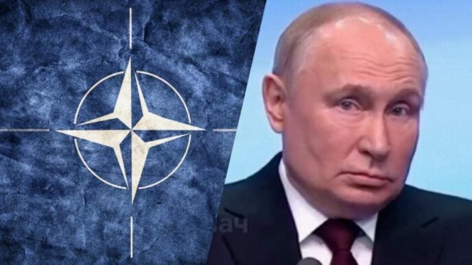 Війна в Ірані розкрила 5 ключових вразливостей НАТО перед можливою війною з Росією 15