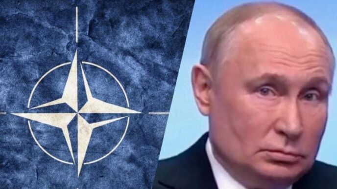 Війна в Ірані розкрила 5 ключових вразливостей НАТО перед можливою війною з Росією 19