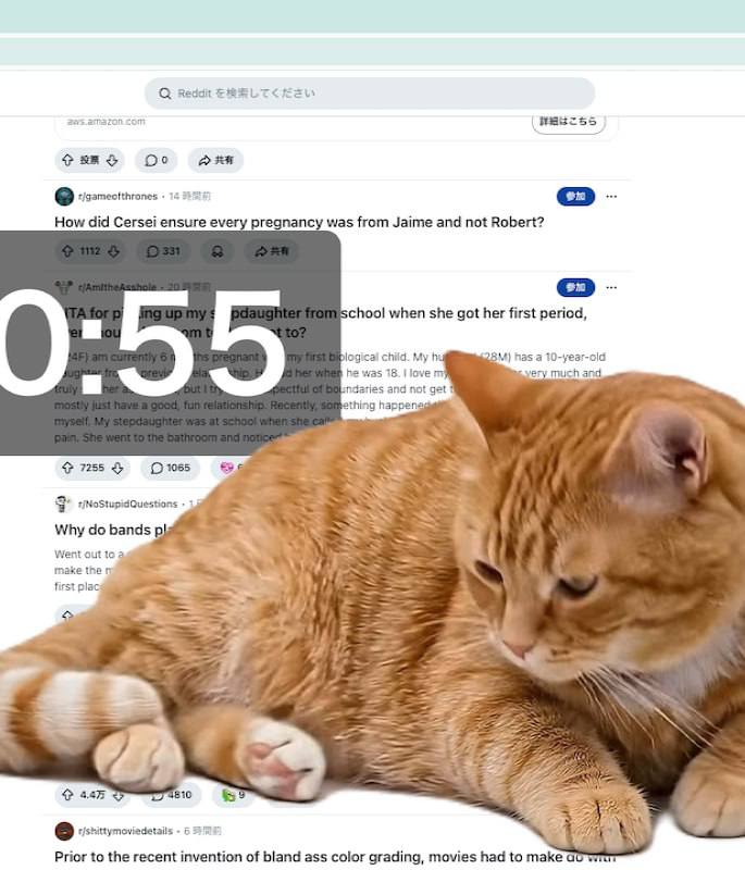 Рудий кіт блокує екран: нове Chrome-розширення змушує відпочивати від соцмереж за 5 хвилин 5