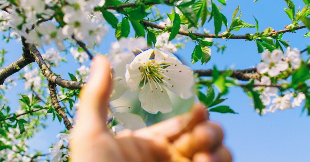 День ангела 17 квітня 2026 р.: імена, значення та привітання 3