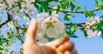 День ангела 17 квітня 2026 р.: імена, значення та привітання 17