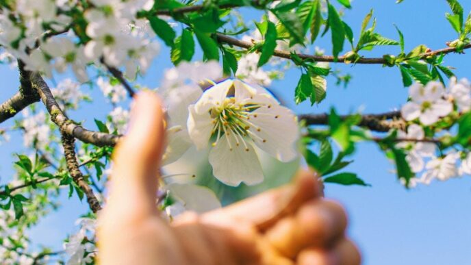 День ангела 17 квітня 2026 р.: імена, значення та привітання 19