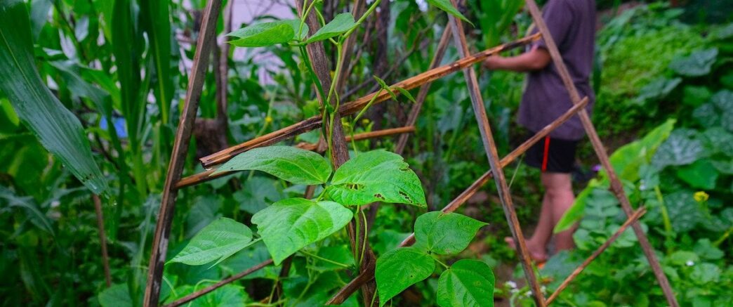 Саморобна садова опора: покрокова інструкція з мінімальними витратами 3