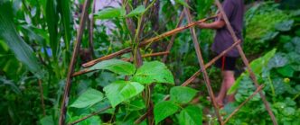 Саморобна садова опора: покрокова інструкція з мінімальними витратами 1