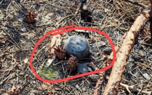 Росіяни скидають з дронів нові міни «Пряник»