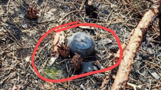 Росіяни скидають з дронів нові міни «Пряник»