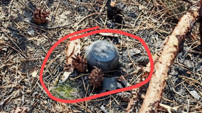 Росіяни скидають з дронів нові міни «Пряник»